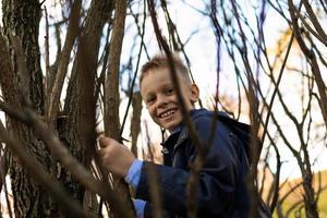 A mischievous boy in a blue jacket climbs a tree between branches photo