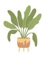 Healthy houseplant semi flat color vector object. Interior decor. Editable element. Full sized item on white. Home garden simple cartoon style illustration for web graphic design and animation