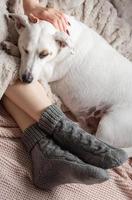 Legs of a young girl in cozy knitted socks photo