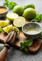 Lime, mint and ice on a dark background. photo