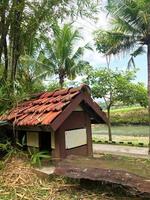 goose cage under coconut trees photo