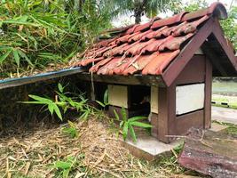 goose cage under coconut trees photo