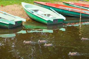 hermosos botes multicolores de madera con remos en la playa para pasear por el río, lago, mar, océano en un parque natural en la orilla foto