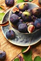 Harvest of autumn figs photo