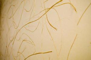 A lot of curls of yellow straw on a beige background, texture photo
