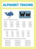 Alphabet tracing worksheet vector