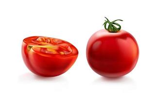 tomate cherry, tomates rojos con tallo verde vector