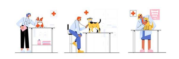 Veterinarian doctors exam dogs in clinic vector