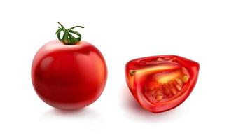 Tomato cherry, red tomatoes with green stalk vector