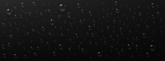 gotas de agua de condensación sobre fondo negro vector