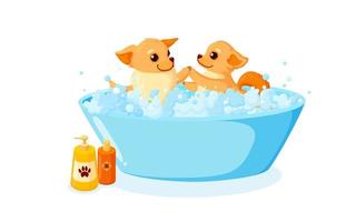 Dog grooming in a bath with pet shampoo. Playful chihuahua puppy in grooming service. Vector illustration in cute cartoon style