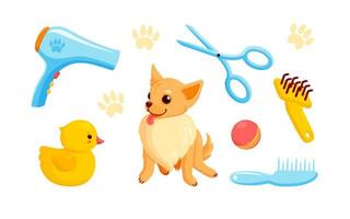 Dog and grooming accessories with pet shampoo, combs and rubber ducks. Playful chihuahua puppy in grooming service. Vector illustration