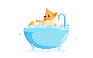 peluquería canina en una bañera con pato de goma. chihuahua en espuma de jabón aislado en fondo blanco. ilustración vectorial vector