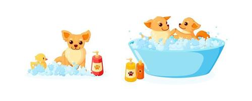 Dog grooming in a bathtub with rubber duck and shampoo. Set with chihuahua in soap foam isolated in white background. Vector illustration