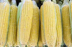 Fresh sweet raw corns, closeup, top view photo