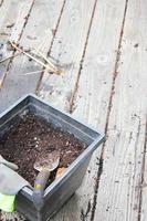 Plant pots with soil prepared for planting and gloves, pickle placed on a wooden balcony scattered with soil. photo