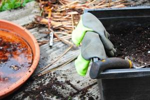 macetas con tierra preparada para plantar y guantes, encurtidos colocados en un balcón de madera salpicado de tierra. foto