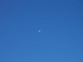 Morning moon in the blue sky photo