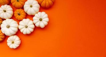 Halloween flat lay composition of black paper bats fand pumpkins on orange background. Halloween concept. photo