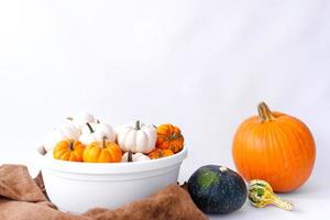 Autumn decoration on white with copy space. Fall, halloween, thanksgiving photo