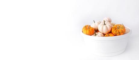 Autumn decoration on white with copy space. Fall, halloween, thanksgiving photo