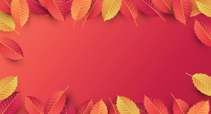 autumn background decorate with leaves .Vector illustration template.