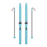 Cross-country skis and poles on a white background. vector illustration