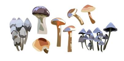 Cartoon mushrooms. Poisonous and edible mushroom isolated vector illustration set. Forest wild mushrooms types.