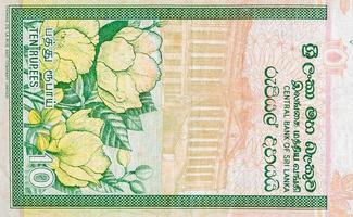 10 rupias de Sri Lanka billete de dinero fragmento de billete de color foto