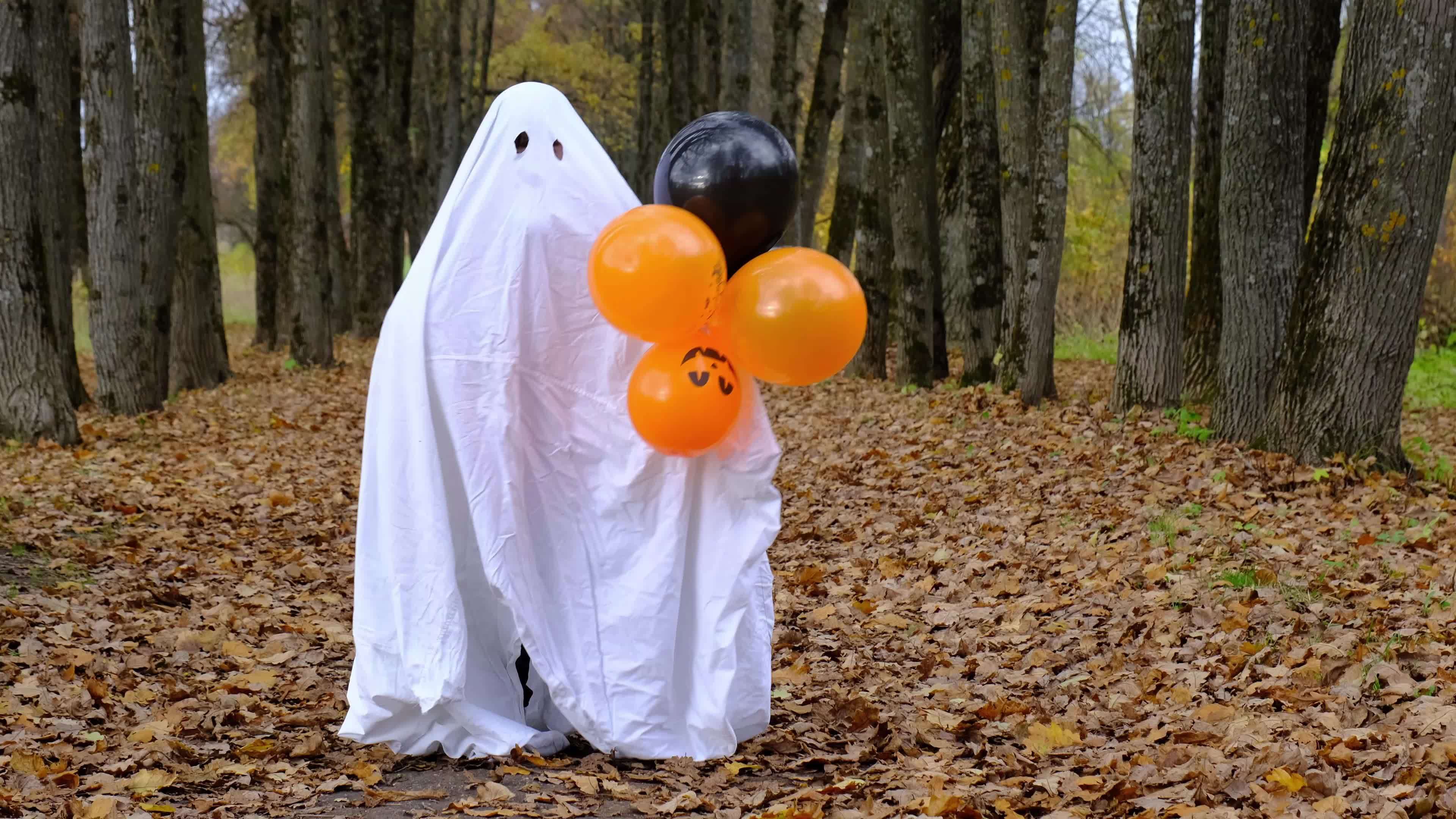 A child in sheets with cutout for eyes like a ghost costume dancing in an autumn forest scares and terrifies. A kind little funny ghost. Halloween Party, slow motion 4k 13426039 Stock A child in sheets with cutout for eyes like a ghost costume dancing in an autumn forest scares and terrifies. A kind little funny ghost. Halloween Party, slow motion 4k 13426039 Stock