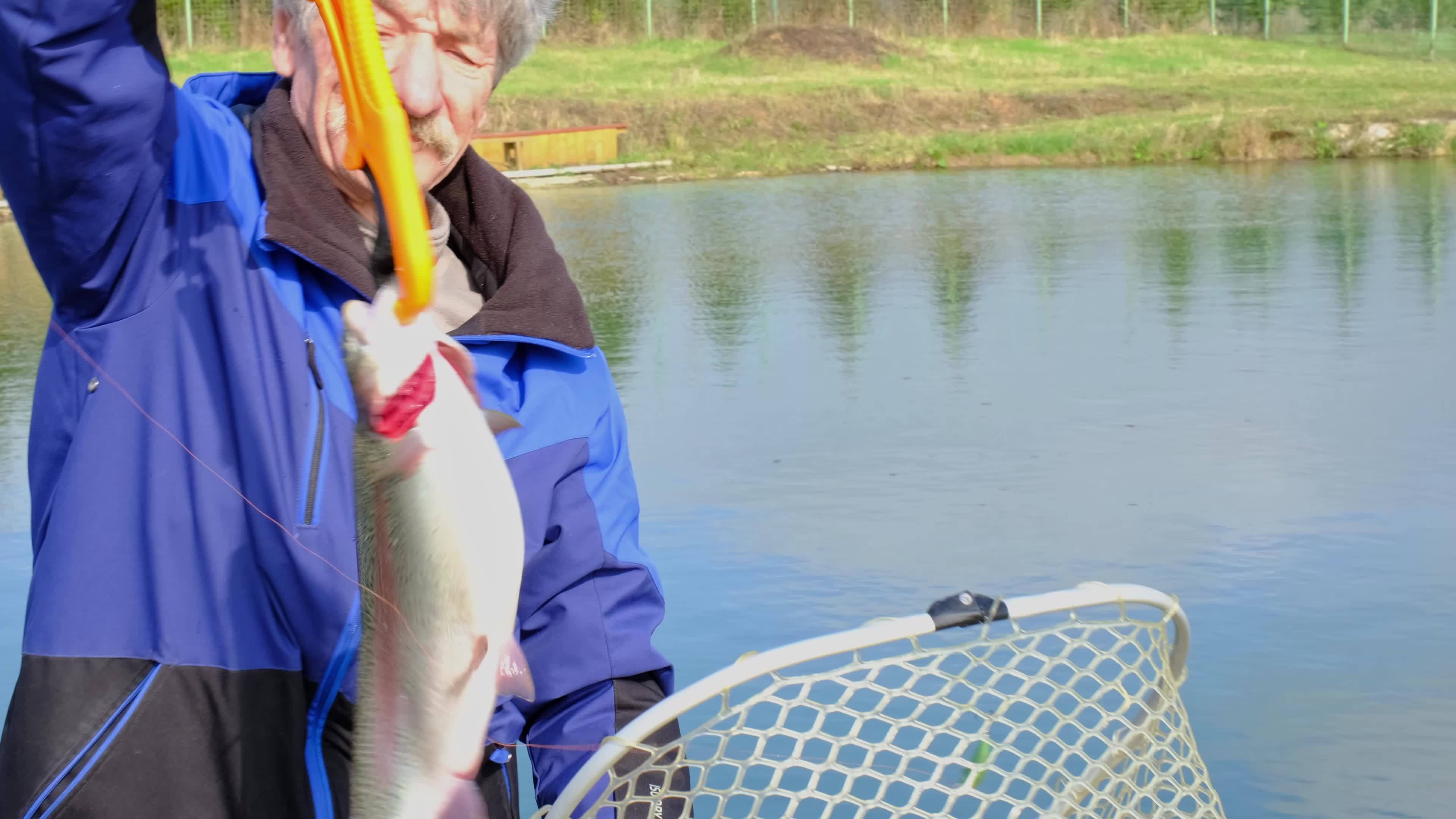 A fisherman pulls a trout out of the water on a spinning rod and puts