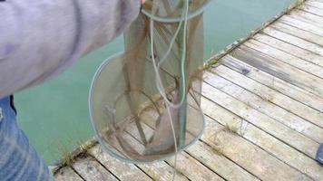 un pescador saca una trucha del agua con una caña giratoria y la pone en una red. pesca en el estanque, equipo de pesca, cría de truchas de río video
