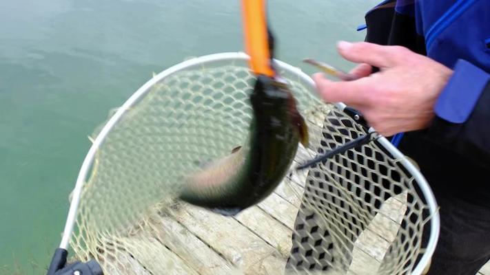 Fishing Stock Video Footage for Free Download