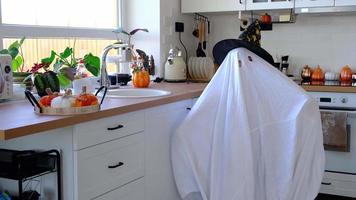 uma criança em lençóis com recorte para os olhos como uma fantasia de fantasma na cozinha decorada para o feriado de halloween. um tipo de fantasma engraçado. festa de Halloween video