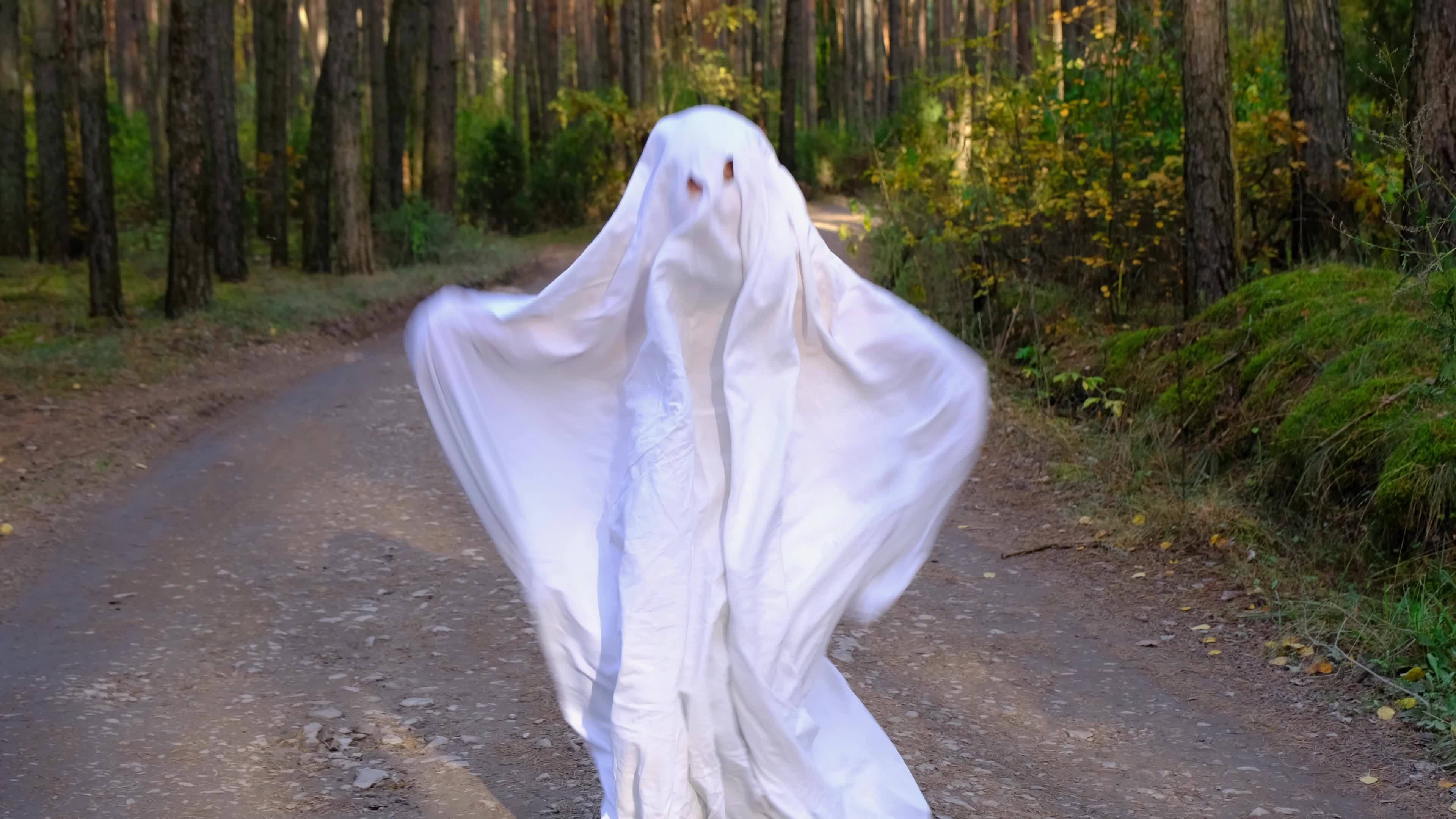 A child in sheets with cutout for eyes like a ghost costume dancing in an  autumn forest scares and terrifies. A kind little funny ghost. Halloween  Party, slow motion 4k 13426057 Stock