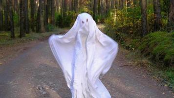 A child in sheets with cutout for eyes like a ghost costume dancing in an autumn forest scares and terrifies. A kind little funny ghost. Halloween Party, slow motion 4k video