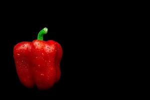 natural red pepper on black background photo