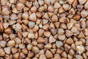 background of close up of buckwheat groats photo