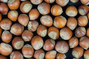 Hazelnuts on a black background. Fresh hazelnut harvest is scattered on black table. photo