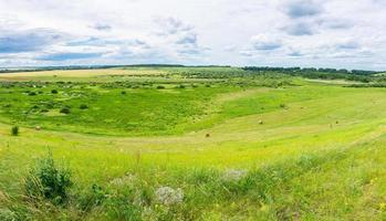 Veps meadows.  Tambov region. Russia photo