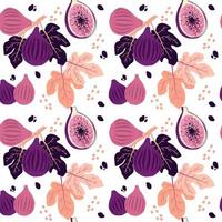 Fig vector pattern