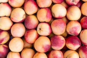 background of nectarines photo