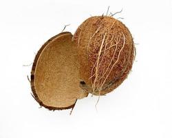 Coconut empty shells isolated on white background. photo