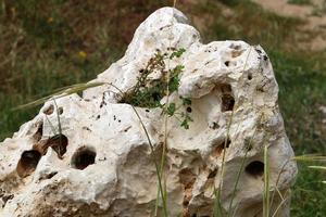 Texture of large stones and mountain rocks. photo