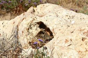 Texture of large stones and mountain rocks. photo