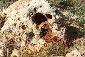Texture of large stones and mountain rocks. photo