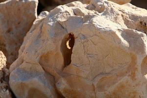 Texture of large stones and mountain rocks. photo