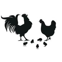 gallo con gallina y pollitos vector