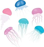 conjunto de medusas de colores vector