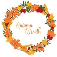 Autumn wreath with wheat, sea buckthorn, autumn leaves with space for text. Vector illustration isolated white background.